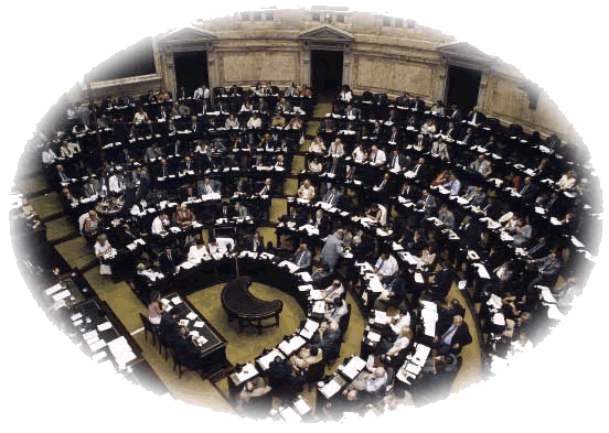 C�mara de Diputados de la Naci�n 
